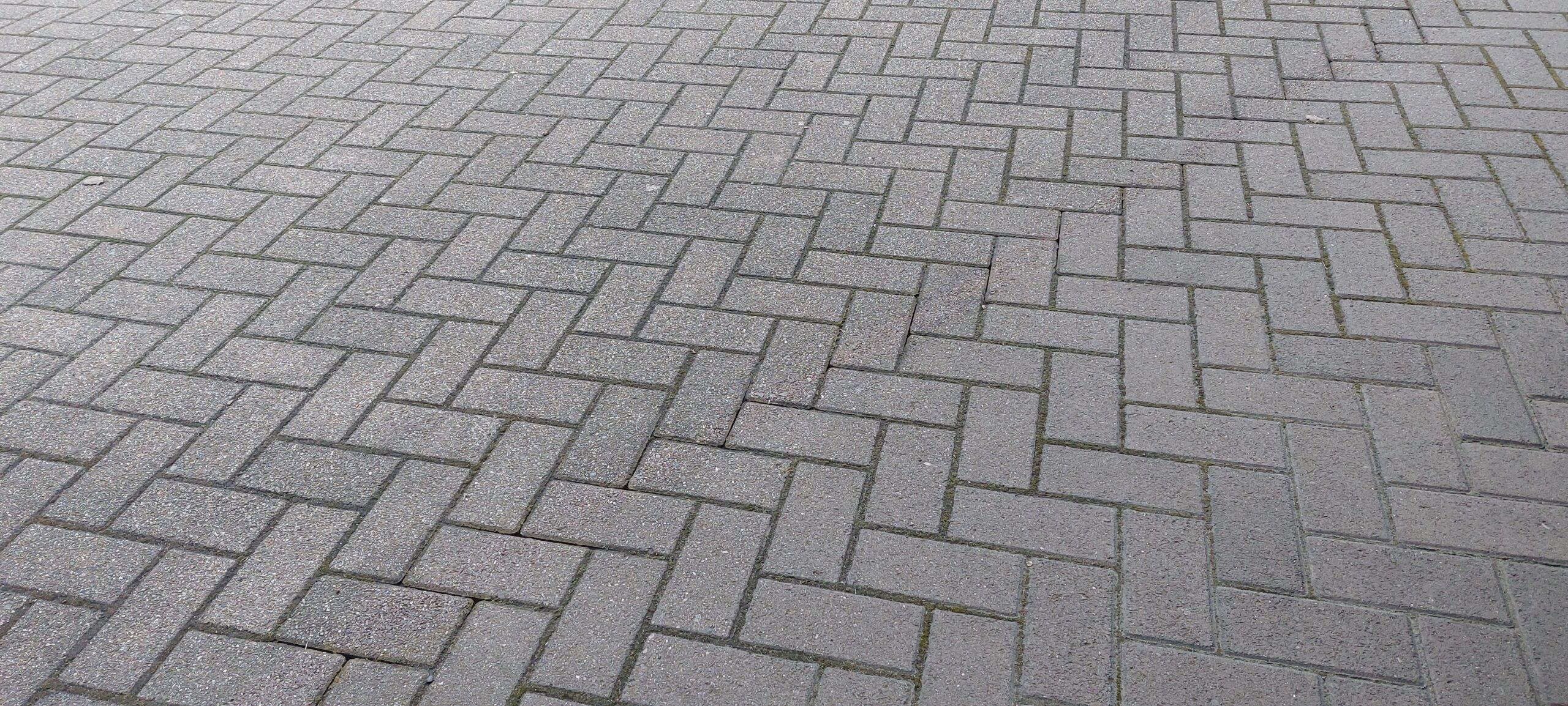 Graufläche