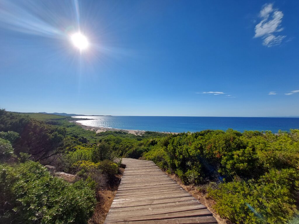 Urlaubsfoto sonniger Tag mit Meerblick